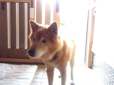 M君１６歳