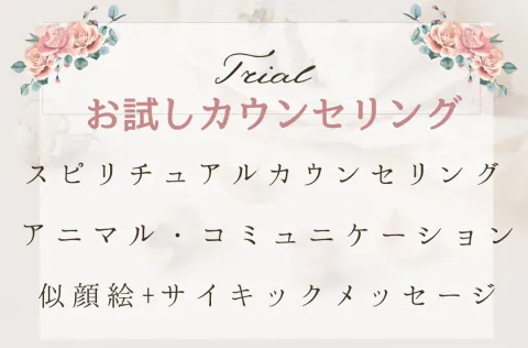 モニター